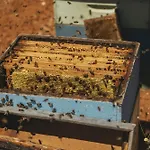 Viceroy At Ombria Algarve Resort