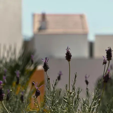 Viceroy At Ombria Algarve 5* Loulé