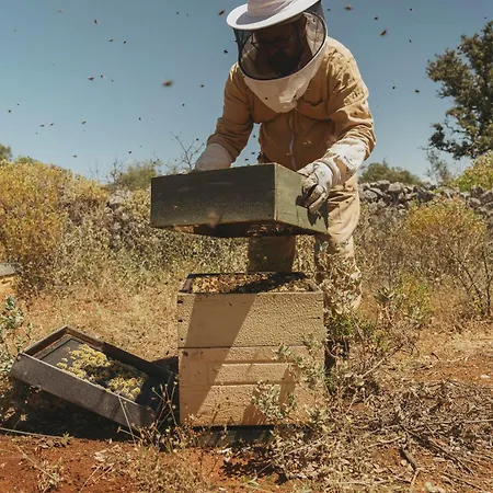 Viceroy At Ombria Algarve Ośrodek wypoczynkowy