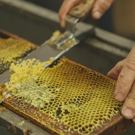 Viceroy At Ombria Algarve Resort 5*