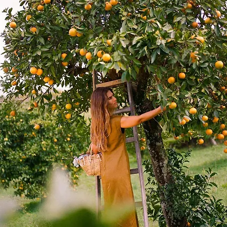 Viceroy At Ombria Algarve Resort