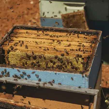 Viceroy At Ombria Algarve Resort